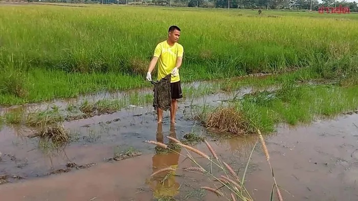 Đi cày ruộng, người đàn ông tìm thấy thứ đáng sợ trên cánh đồng- Ảnh 1.