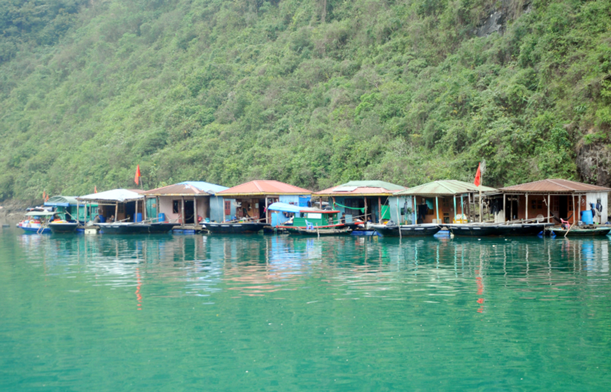 Quảng Ninh: Dự kiến thành lập khu nuôi trồng thủy sản tại vùng đệm vịnh Hạ Long- Ảnh 1.