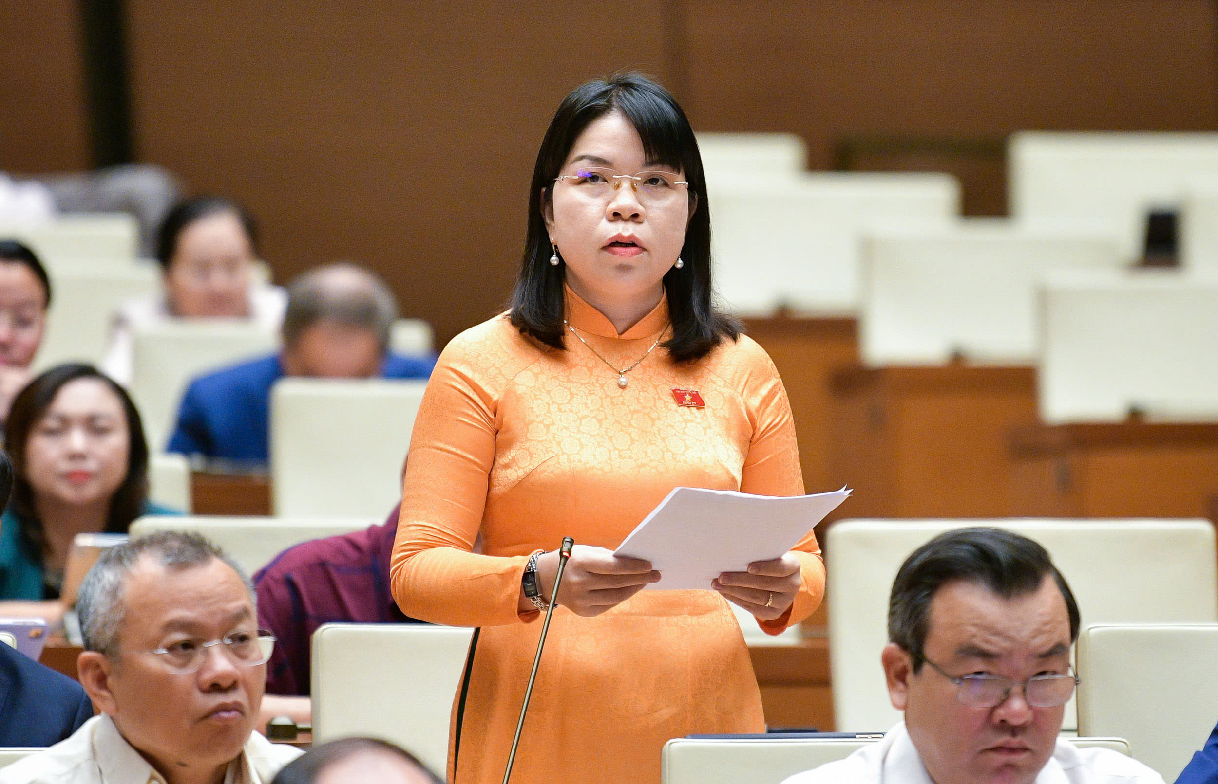 Đề xuất cho HĐND giám sát hoạt động của cơ quan Trung ương tại địa phương- Ảnh 1. Đề xuất cho HĐND giám sát hoạt động của cơ quan Trung ương tại địa phương- Ảnh 1.