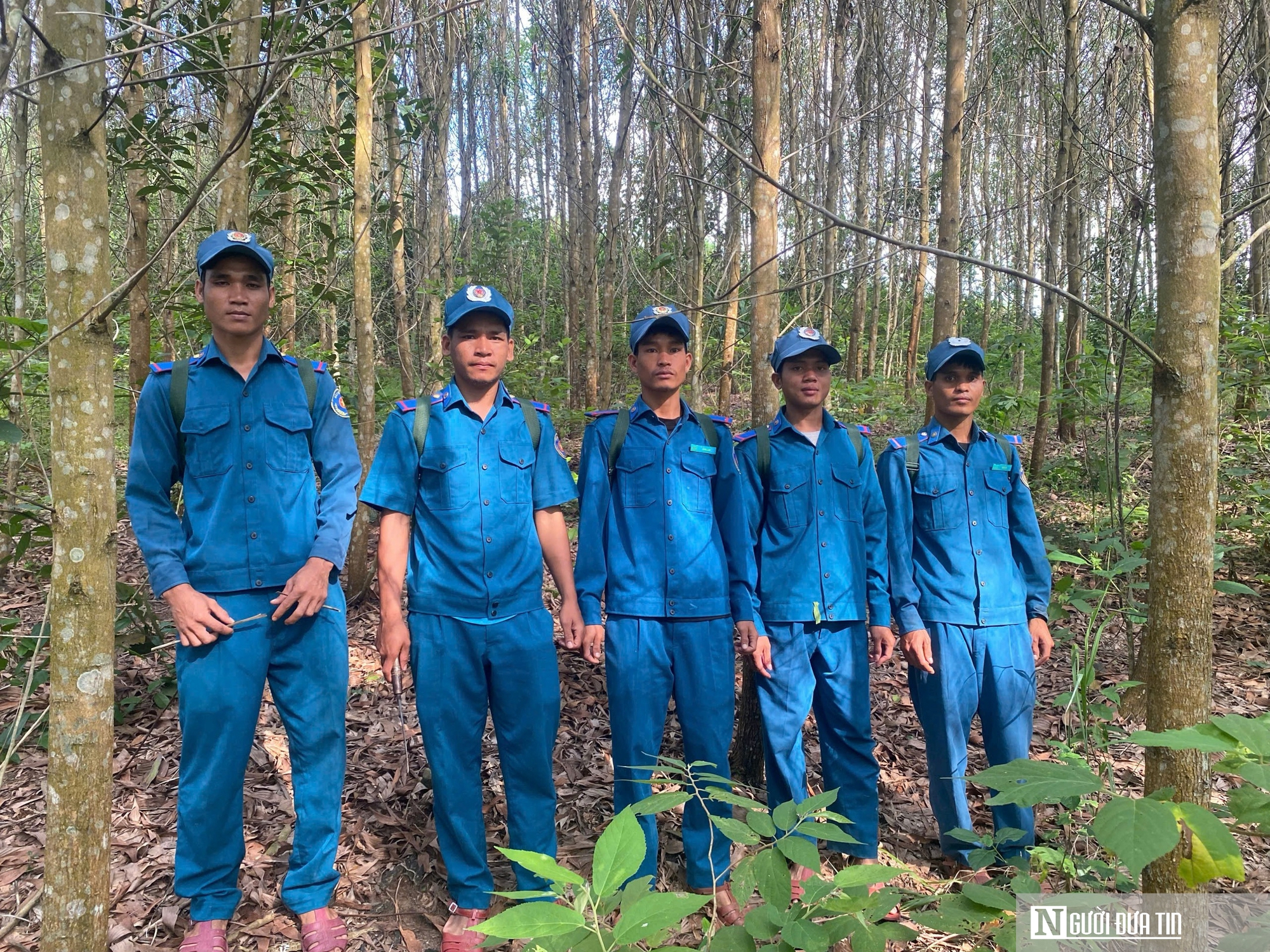 Lợi ích kép từ mô hình trồng rừng, phủ xanh đất trống đồi trọc- Ảnh 4.