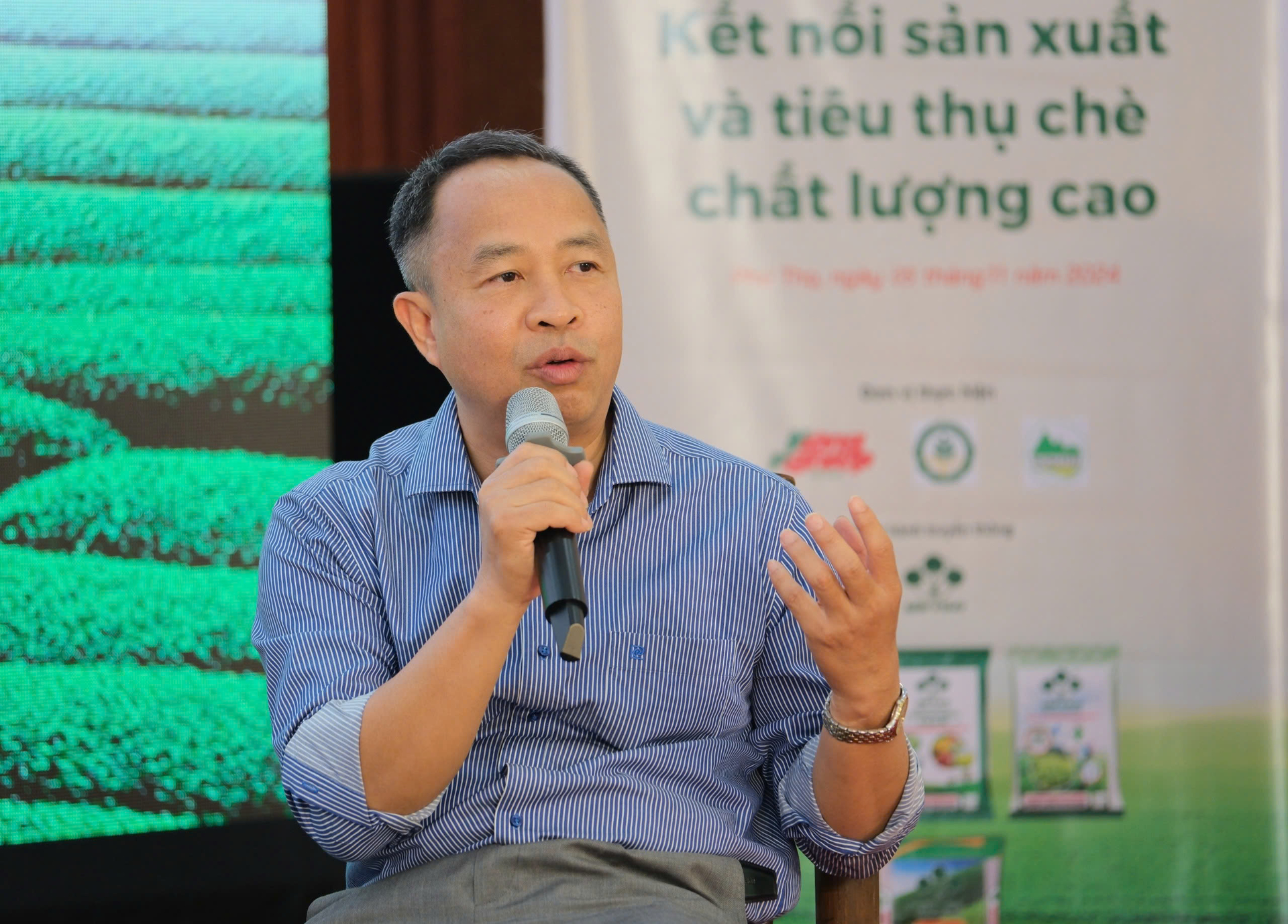 CEO Trà Cozy: Cây chè không còn là cây xóa đói giảm nghèo- Ảnh 4.