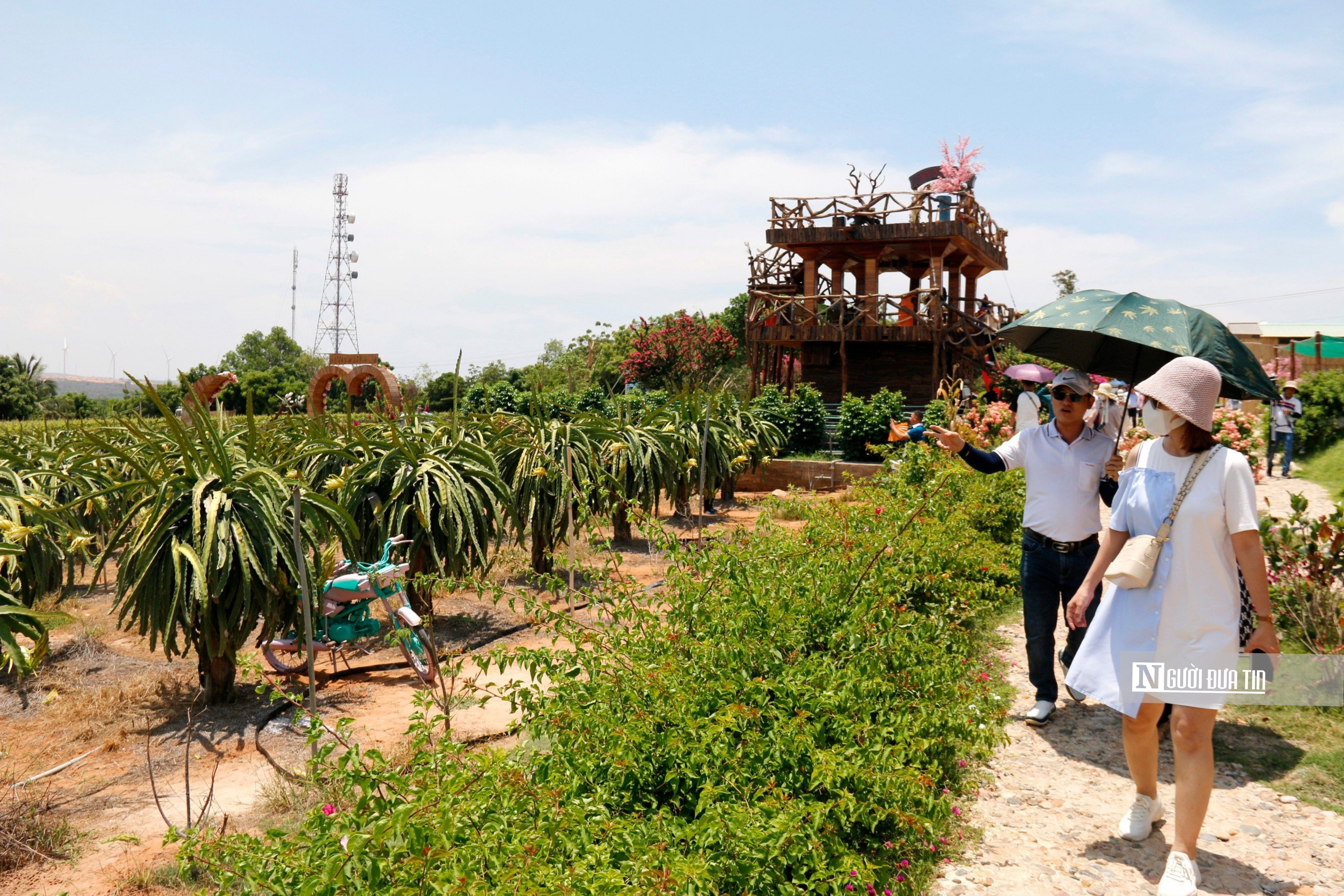 Cần hoàn thiện khung pháp lý để phát triển du lịch xanh bền vững- Ảnh 4.