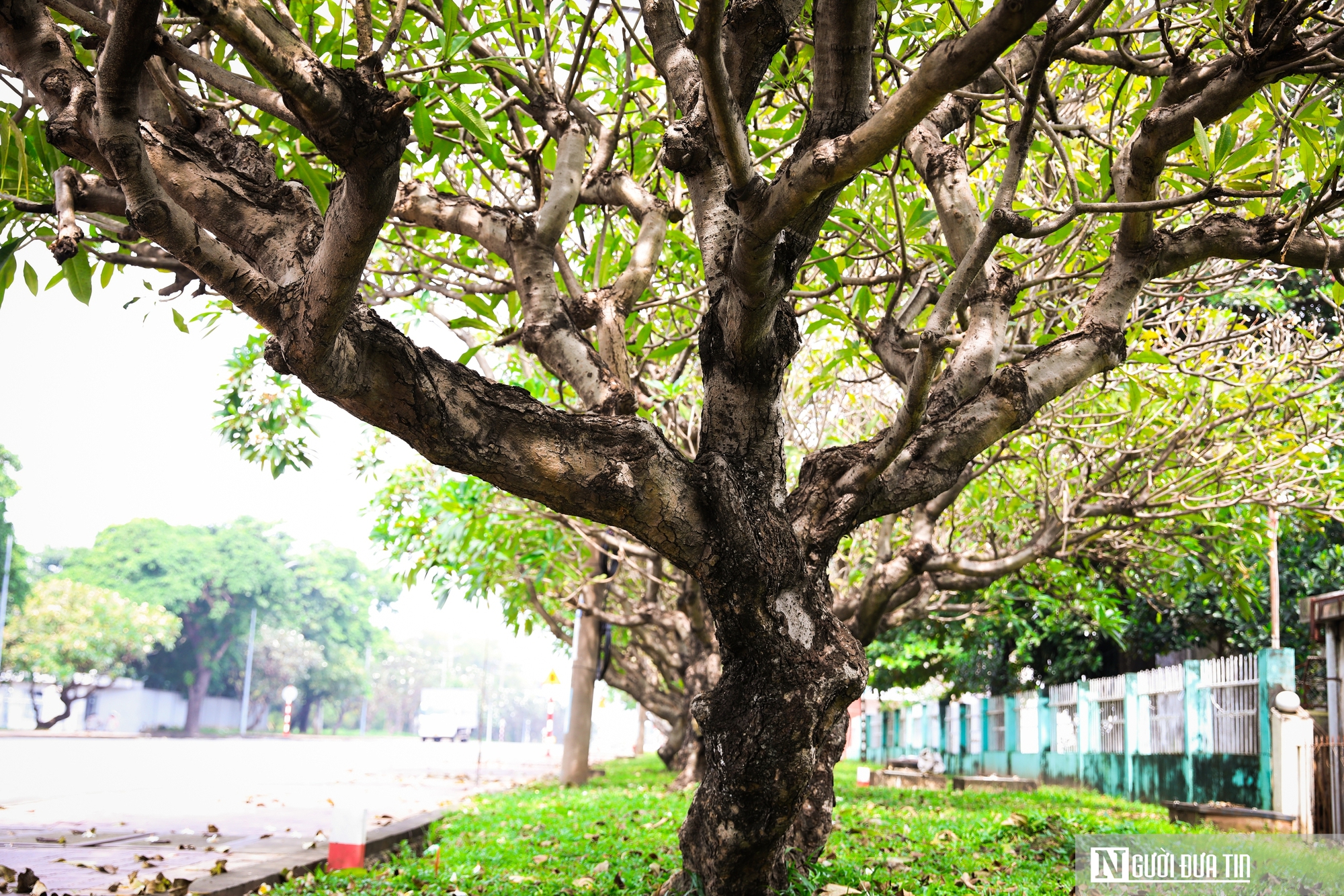 Lạc vào khu công nghiệp 