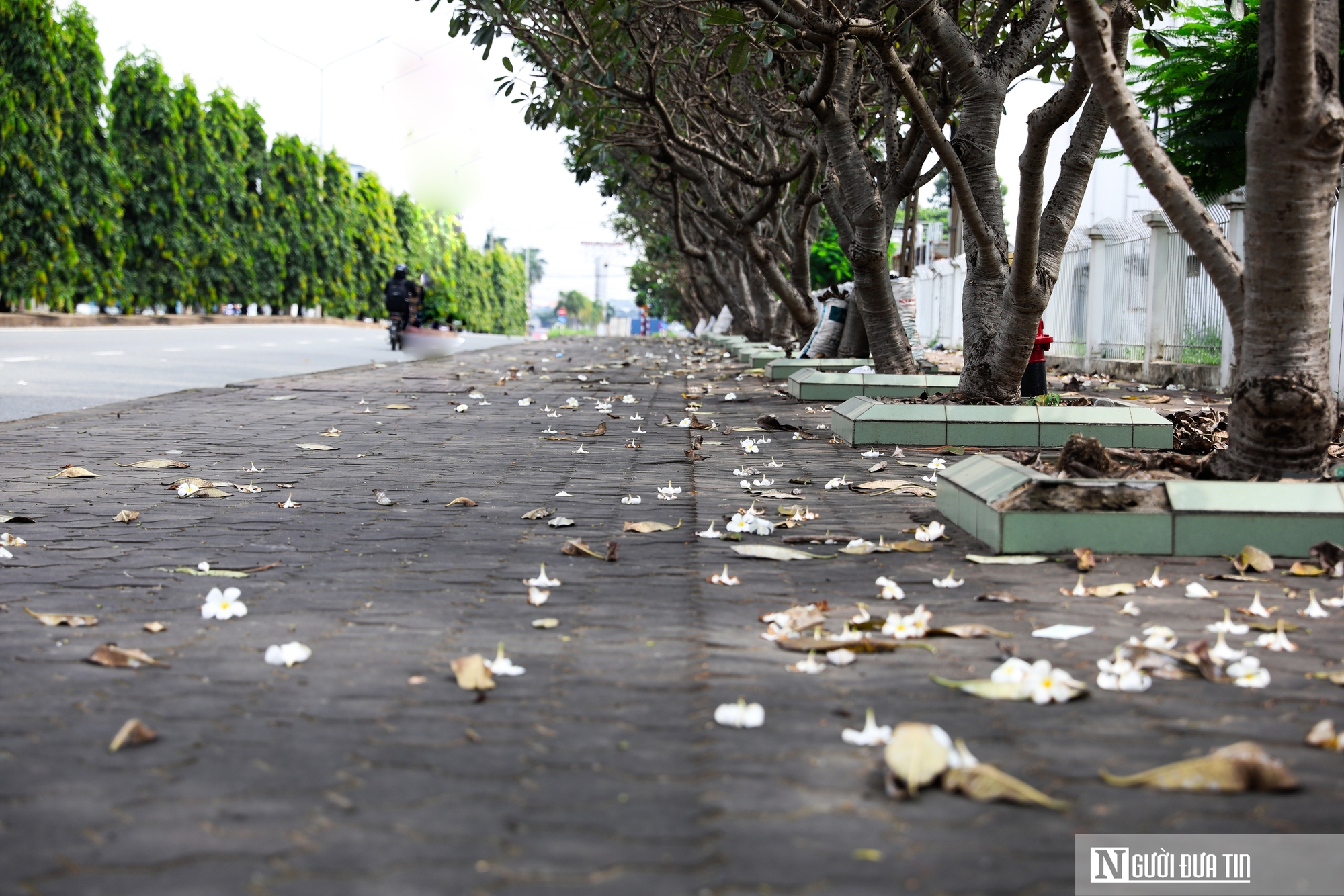 Lạc vào khu công nghiệp 