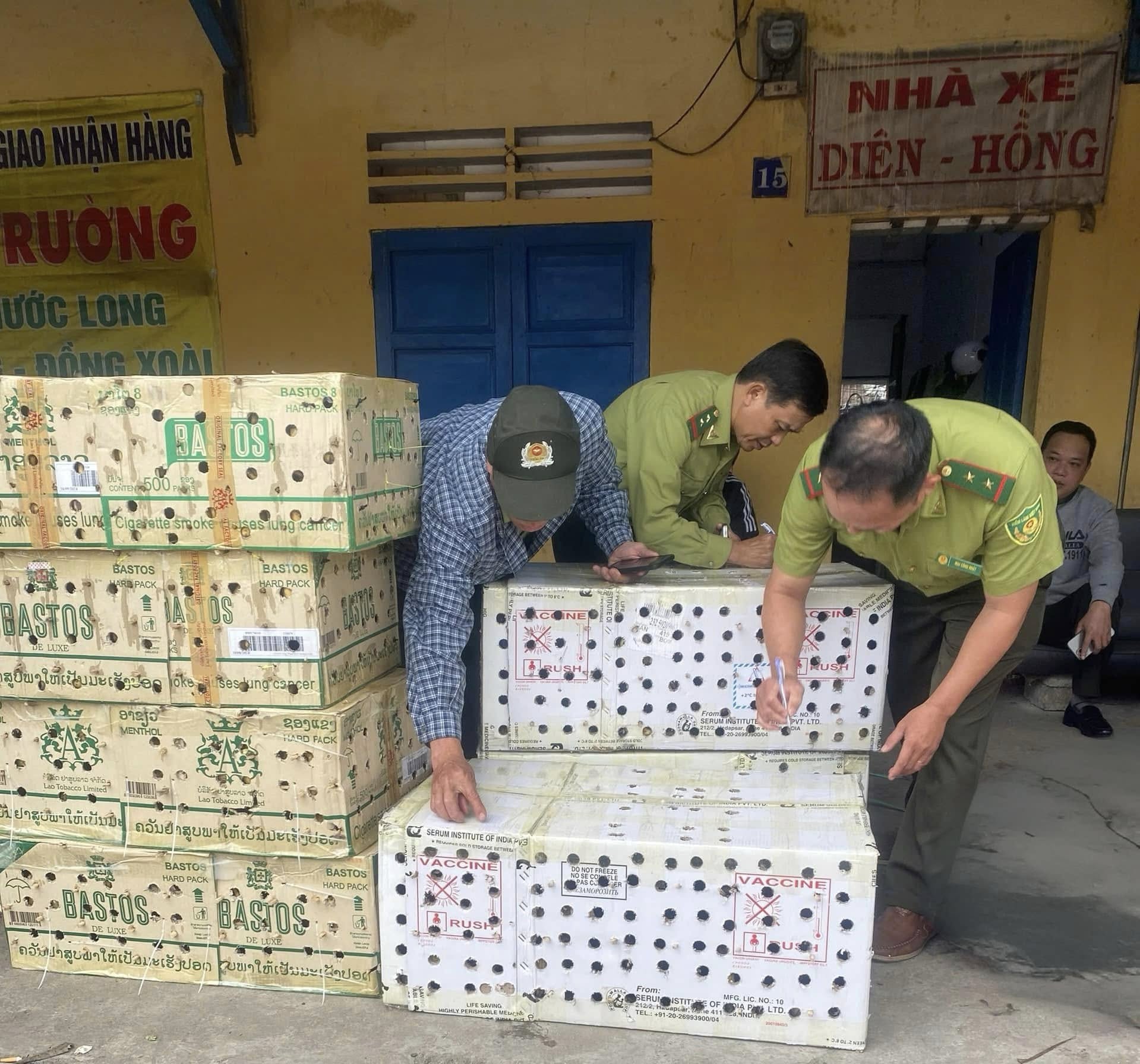 Gần 1000 con chim chào mào bị nhốt trong thùng giấy vô chủ- Ảnh 1.