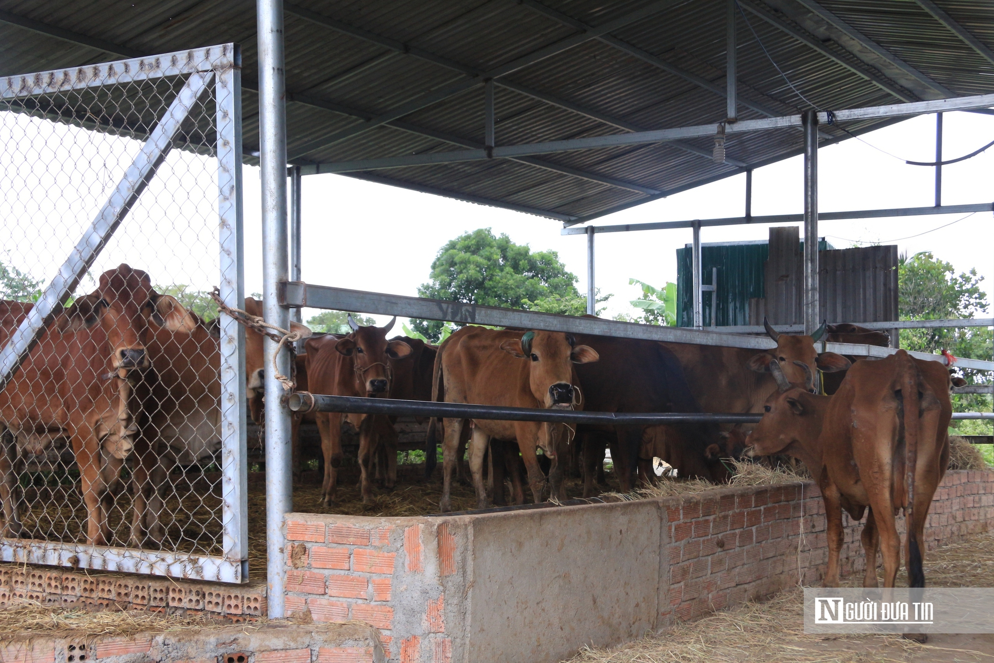 Những căn nhà khang trang ở làng biên giới từng là nơi "đặc biệt khó khăn"- Ảnh 8.