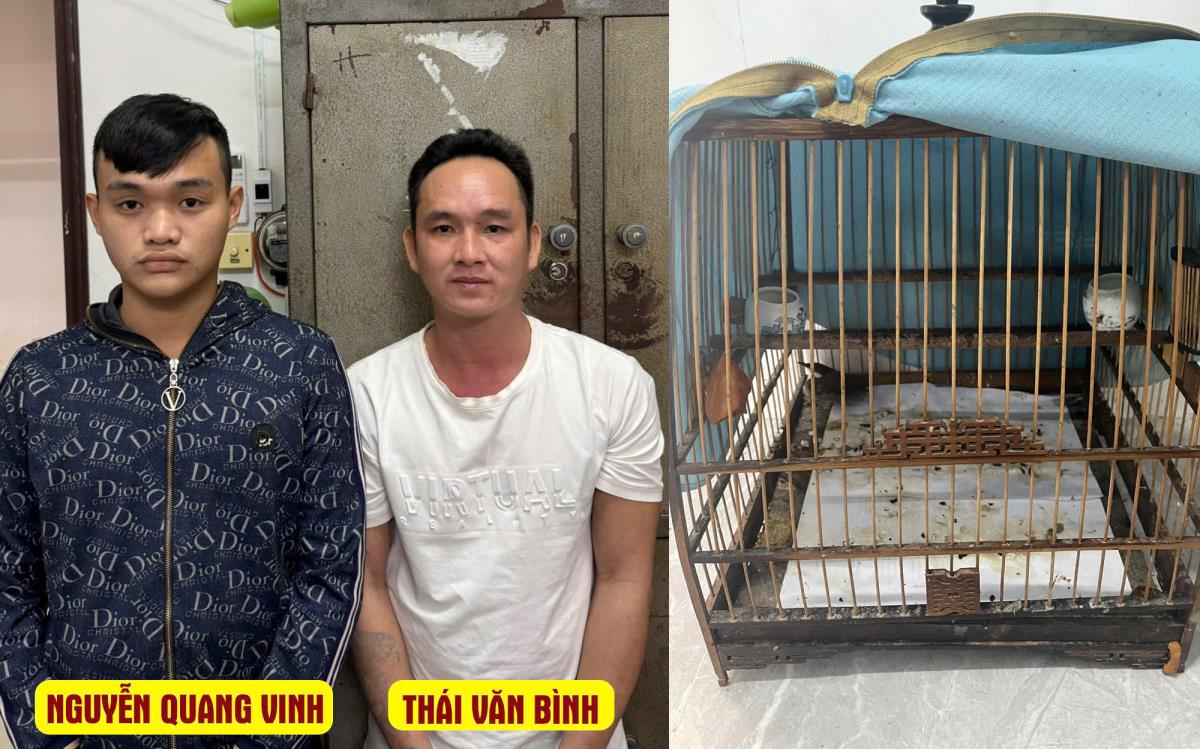 Bắt khẩn cấp 2 đối tượng cướp lồng chim chào mào giá 1,5 triệu
- Ảnh 1. Bắt khẩn cấp 2 đối tượng cướp lồng chim chào mào giá 1,5 triệu
- Ảnh 1.