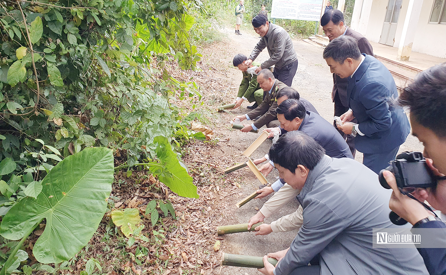 Vườn quốc gia Cát Bà thí điểm tái thả động vật hoang dã về tự nhiên- Ảnh 2.