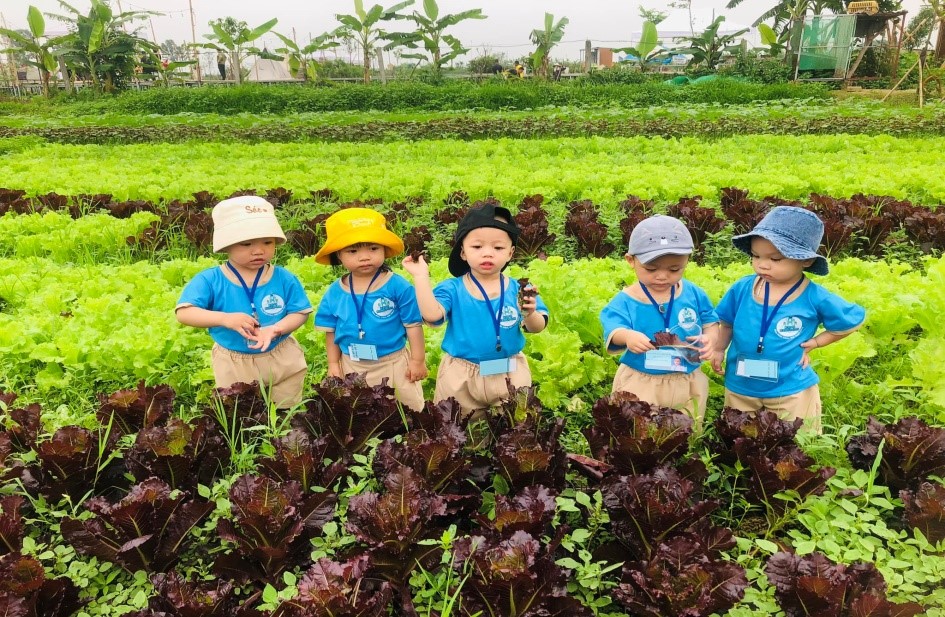 Thay “áo mới” cho nông thôn: Đột phá từ du lịch nông nghiệp- Ảnh 2.