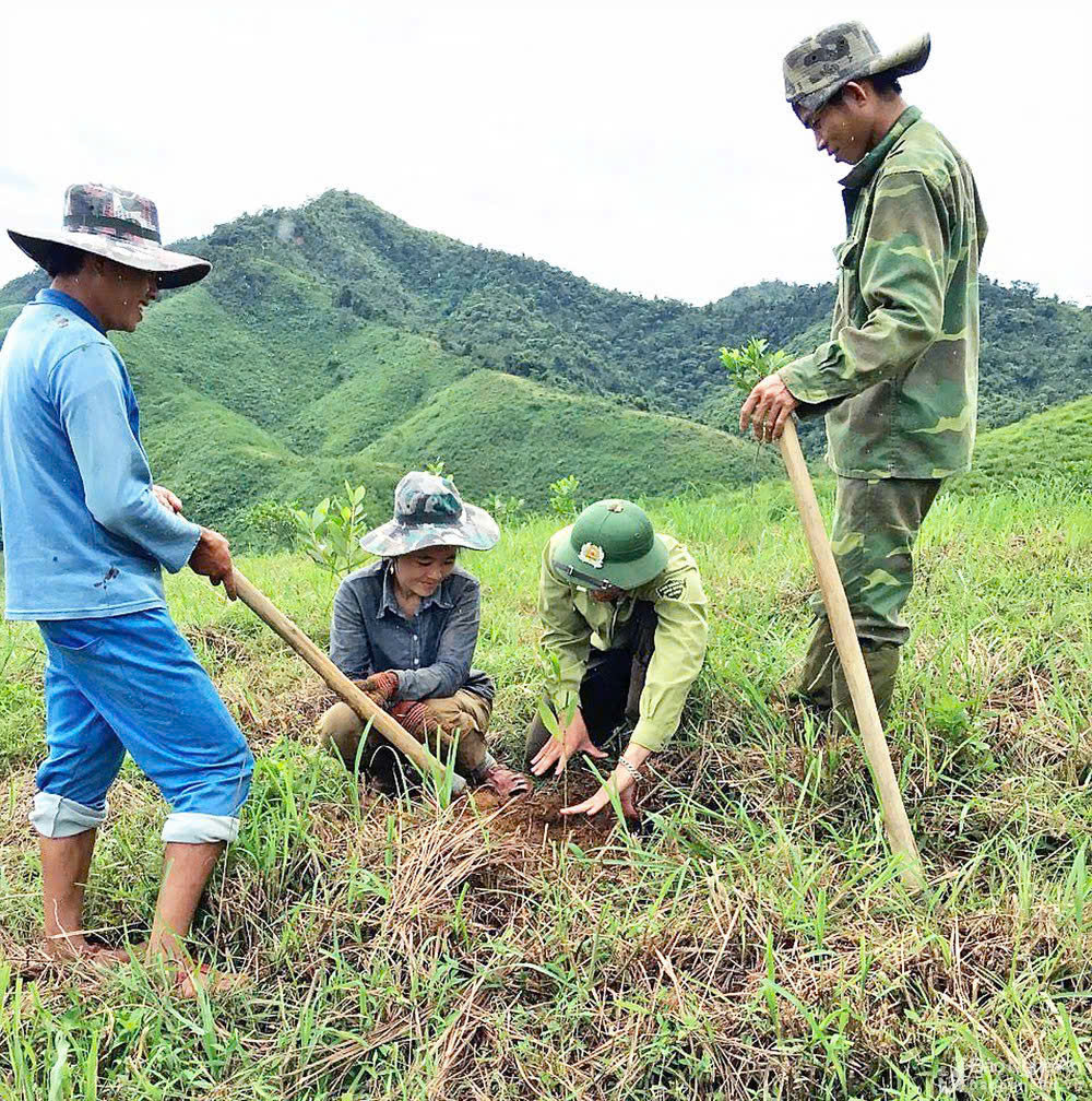 Tăng tốc chi trả nguồn giảm phát thải khí nhà kính, tạo động lực thúc đẩy tăng trưởng giá trị “ kinh tế rừng”- Ảnh 4.