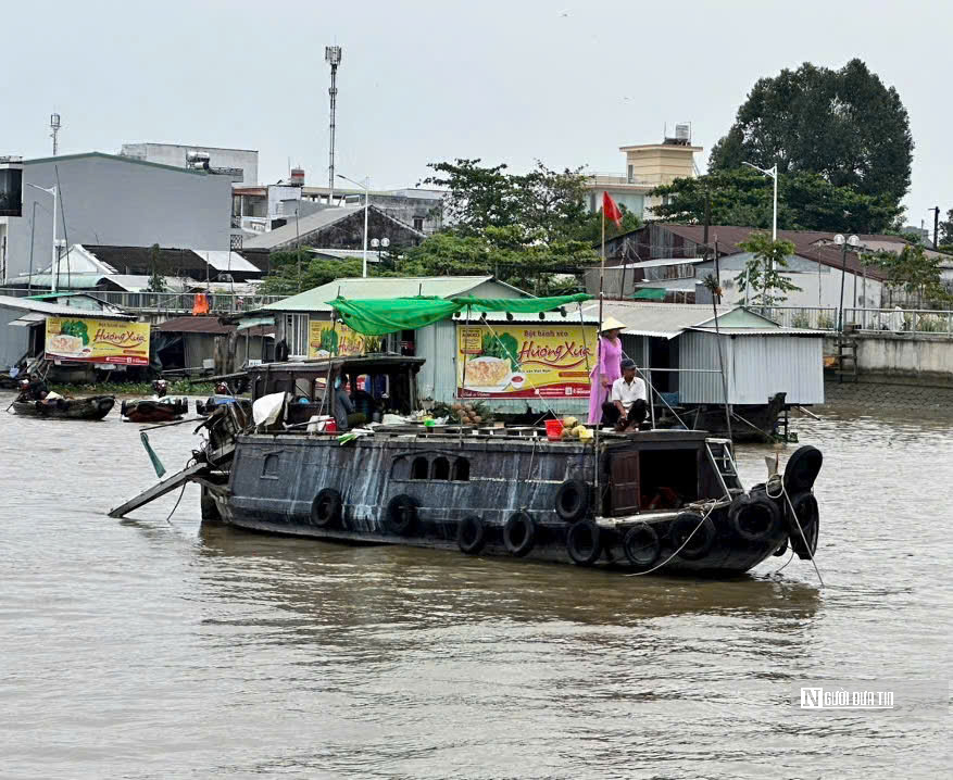 Nhộn nhịp cảnh 