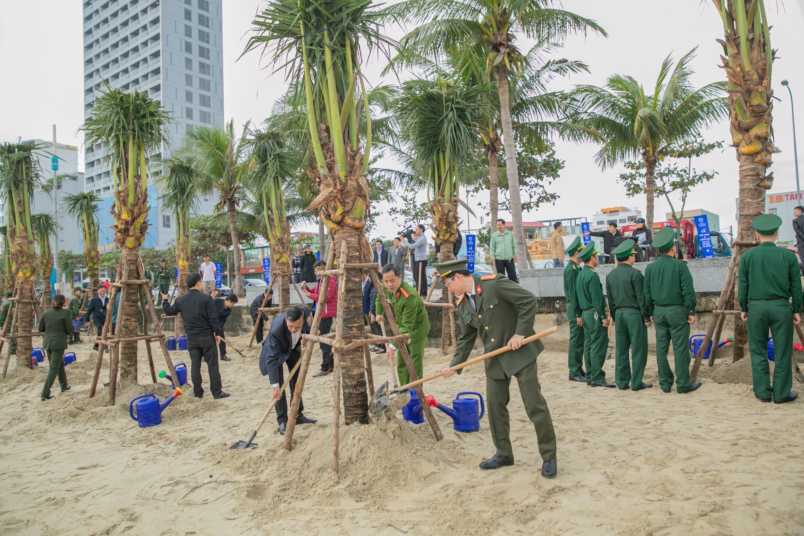 Đà Nẵng trồng hàng nghìn cây dừa tại các bãi biển để bảo vệ môi trường và phát triển du lịch- Ảnh 3.