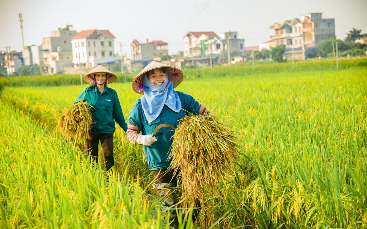 Ngành nông nghiệp bứt phá từ những nhóm hàng tỷ USD