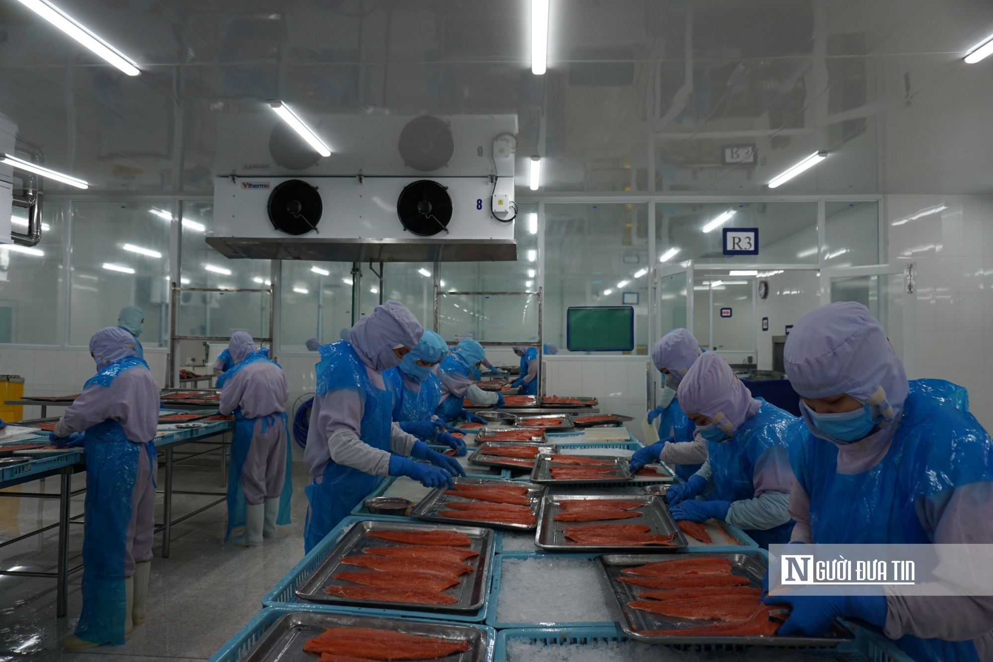 Hoạt động sản xuất tại Công ty TNHH Mãi Tín Bình Định (Khu kinh tế Nhơn Hội) - đơn vị thưởng tết Nguyên Đán Ất Tỵ cao nhất ở Bình Định. Ảnh: Thu Dịu Hoạt động sản xuất tại Công ty TNHH Mãi Tín Bình Định (Khu kinh tế Nhơn Hội) - đơn vị thưởng tết Nguyên Đán Ất Tỵ cao nhất ở Bình Định. Ảnh: Thu Dịu