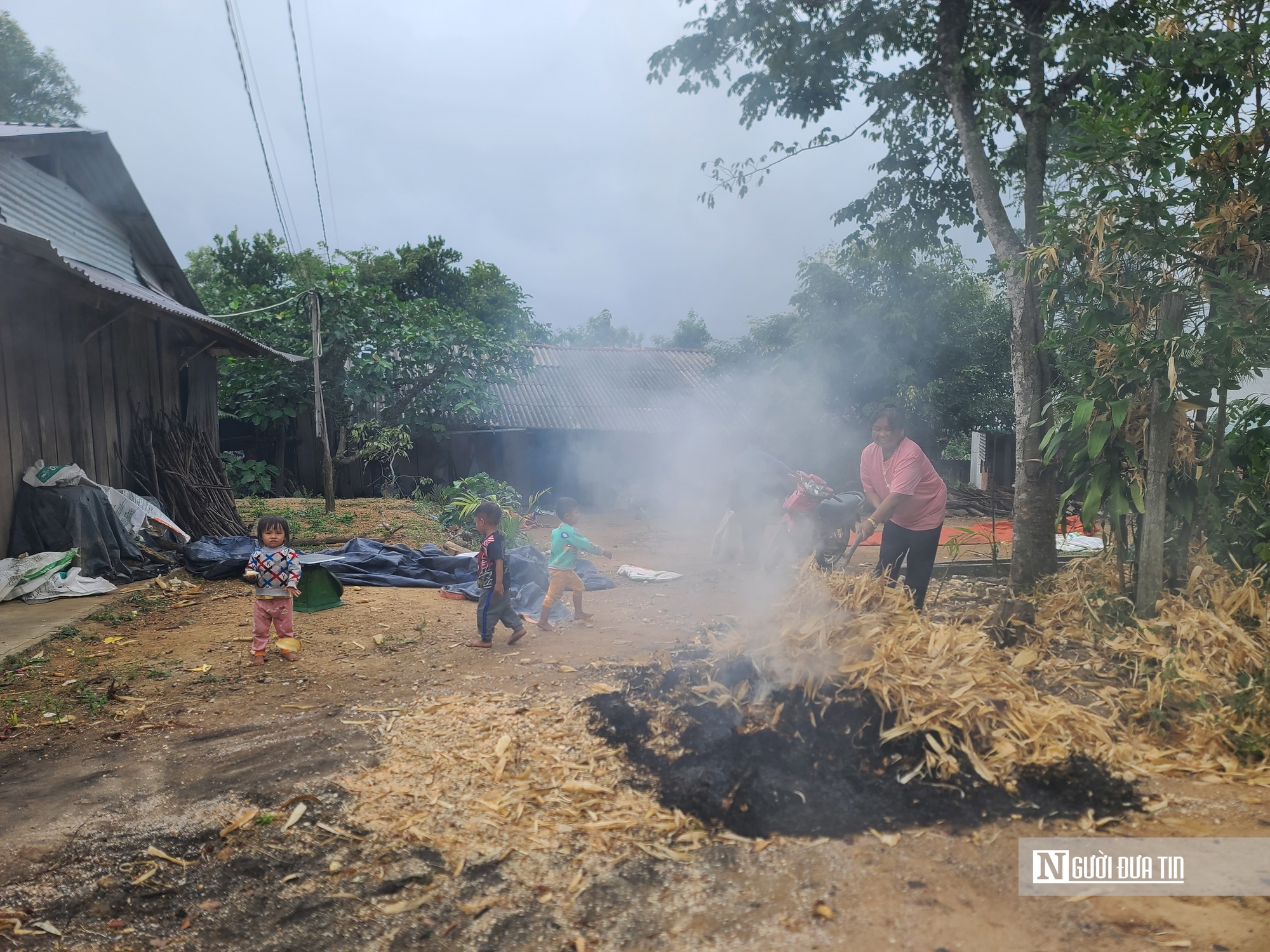 Giang Đông – vùng đất đang hồi sinh: Kỳ cuối: Ươm mầm xanh cho tương lai- Ảnh 1.