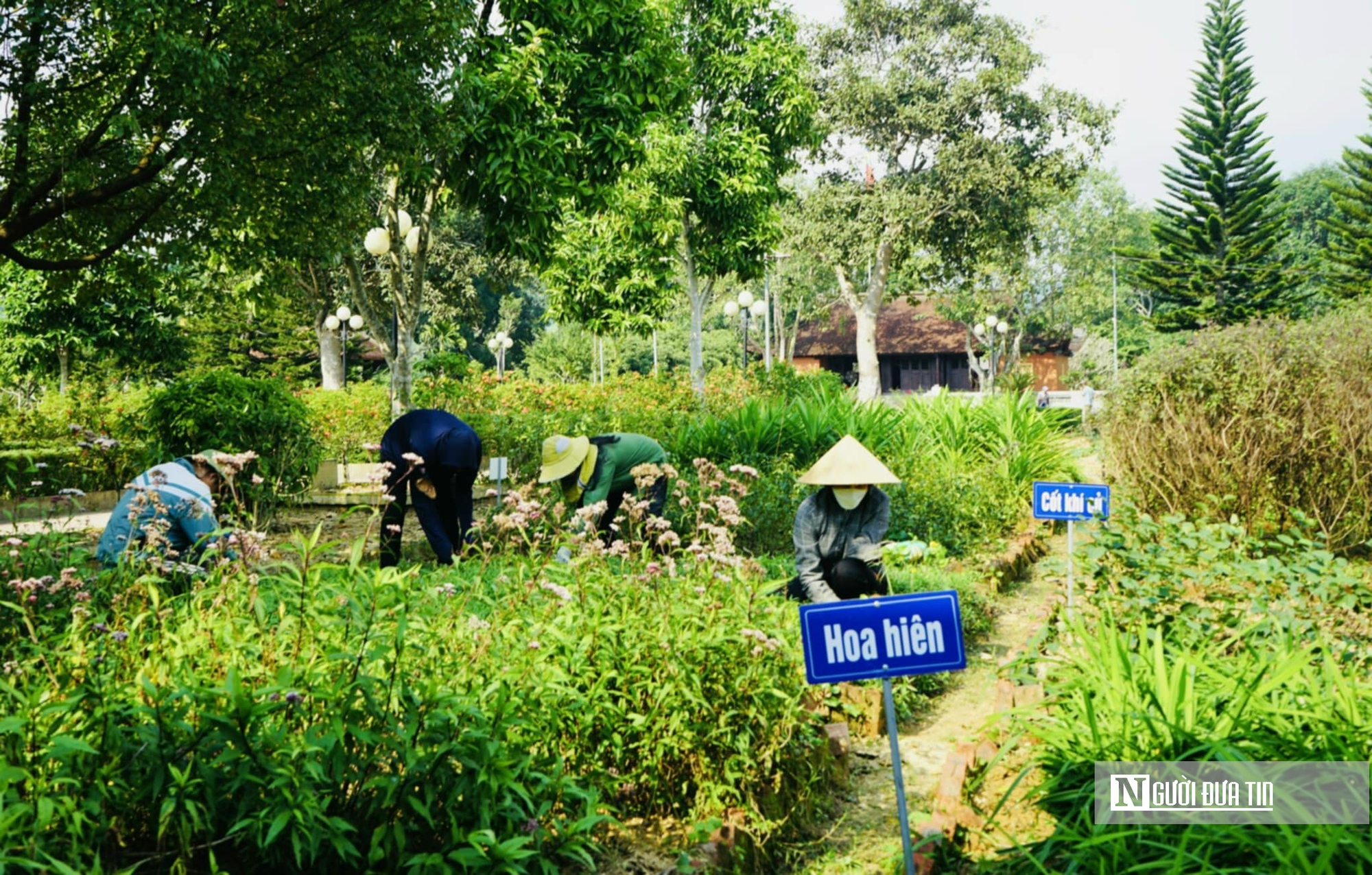 Hà Tĩnh: Gấp rút cho lễ kỷ niệm 300 năm ngày sinh Đại danh y Lê Hữu Trác- Ảnh 4.