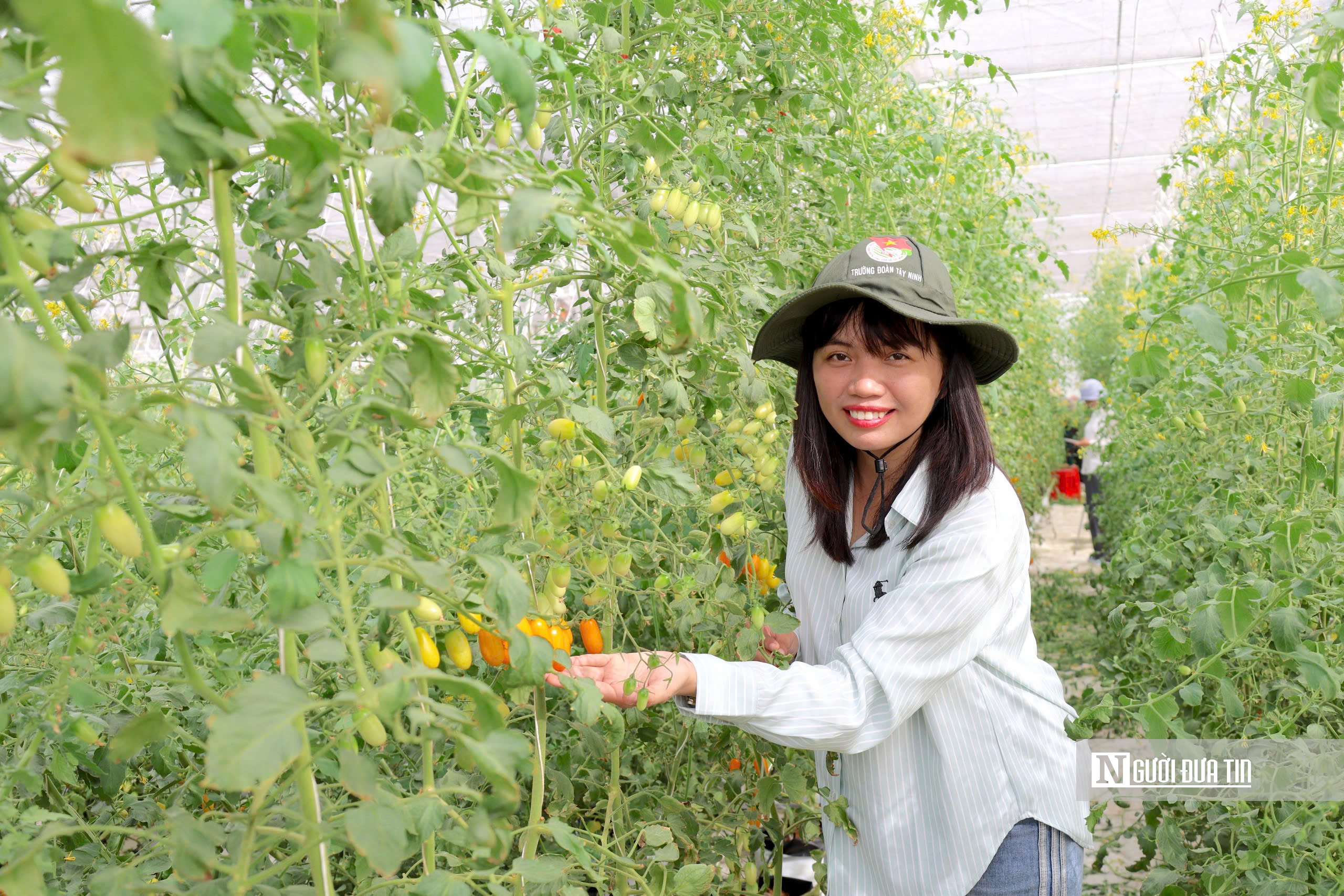 Tây Ninh định vị ngành du lịch là mũi nhọn kinh tế- Ảnh 2.