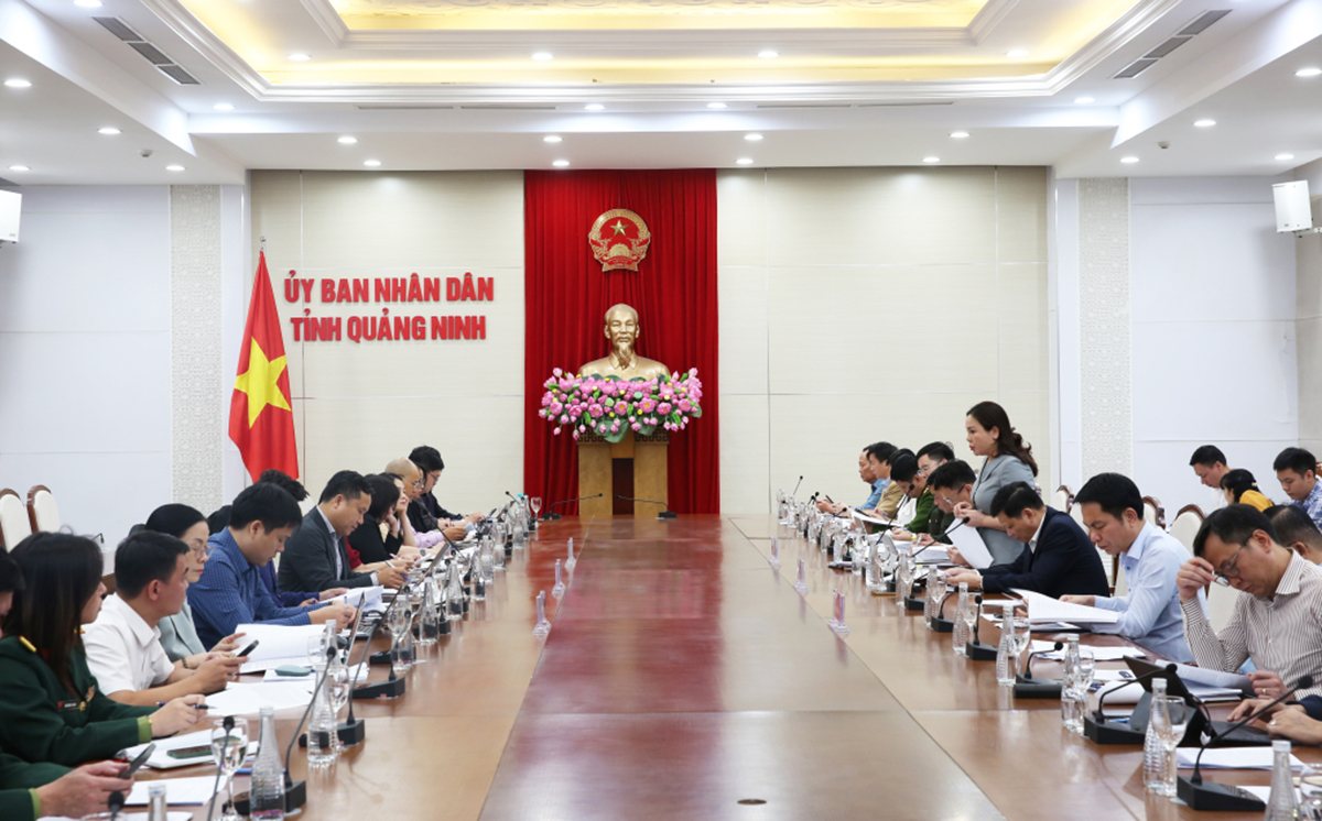 Quảng Ninh: Có 45 dự án than xong thủ tục đầu tư và khai thác trong năm 2024- Ảnh 1.