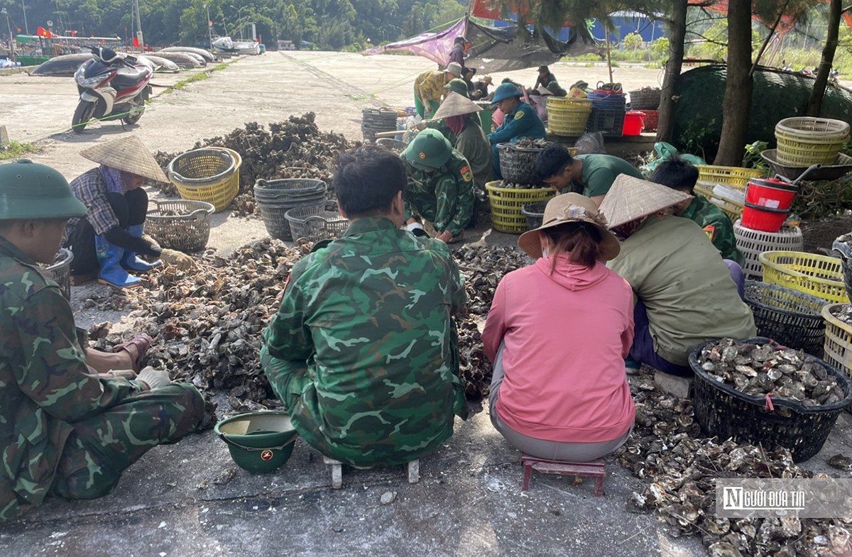 Hải Phòng: Hoàn thành dỡ phao xốp nuôi hàu tự phát trên vịnh Cát Bà- Ảnh 1.