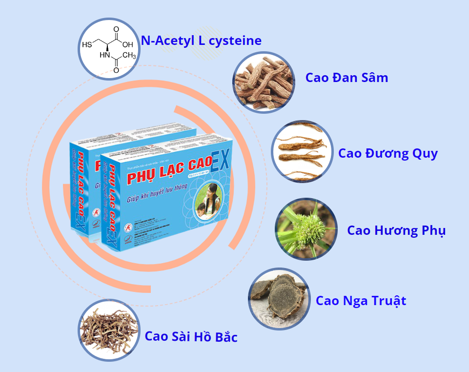 Tổng quan về lạc nội mạc tử cung và giải pháp từ Phụ Lạc Cao EX- Ảnh 5.