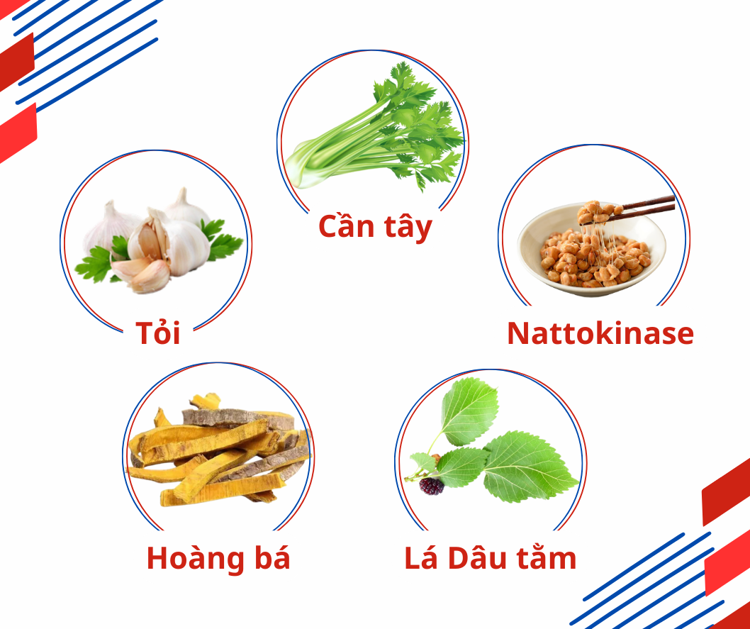 Định Áp Vương - Giải pháp tối ưu cho người huyết áp cao- Ảnh 4.