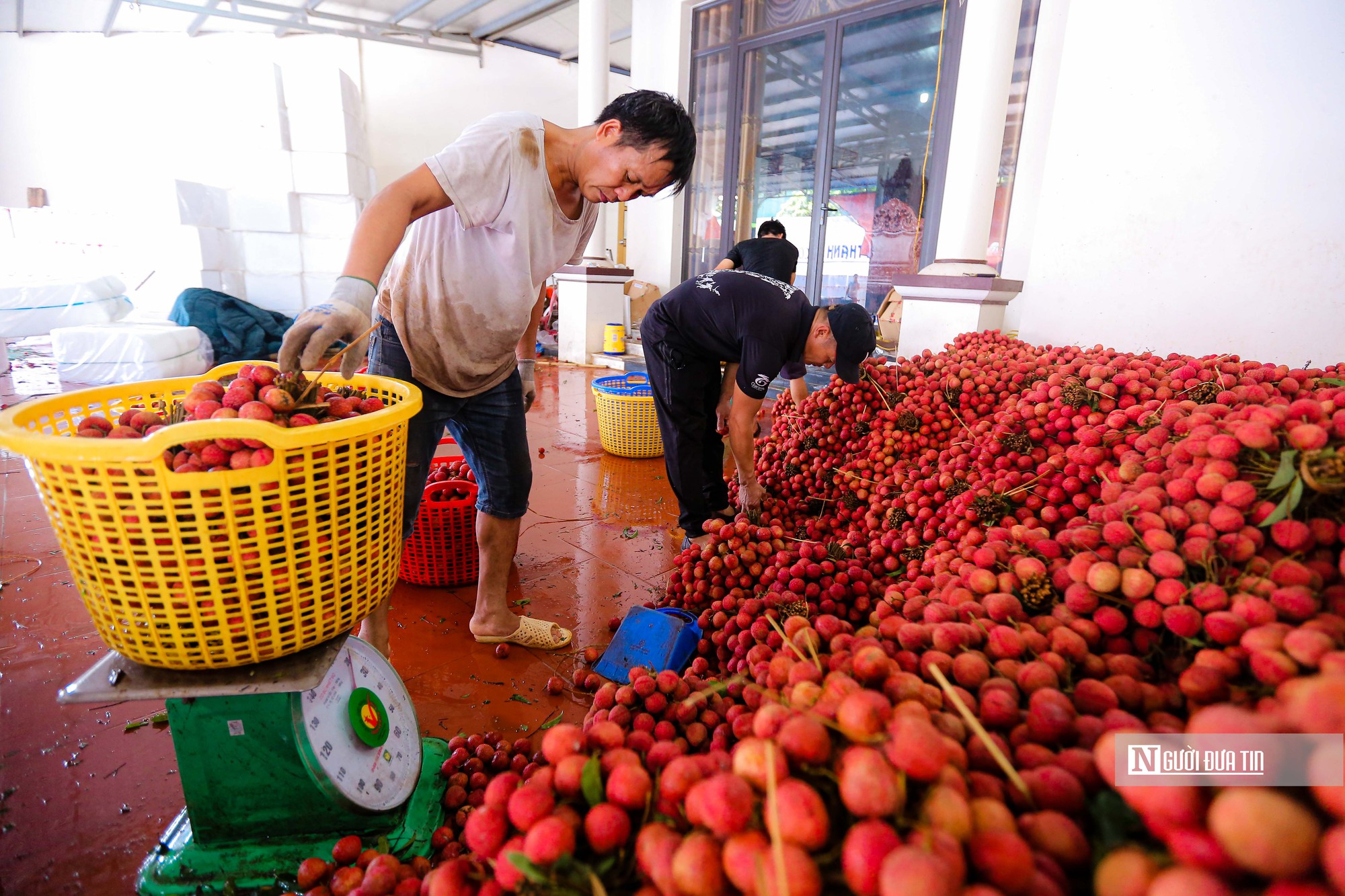 Bộ trưởng Lê Minh Hoan: Các nhà khoa học hãy bước ra gặp nông dân- Ảnh 3.