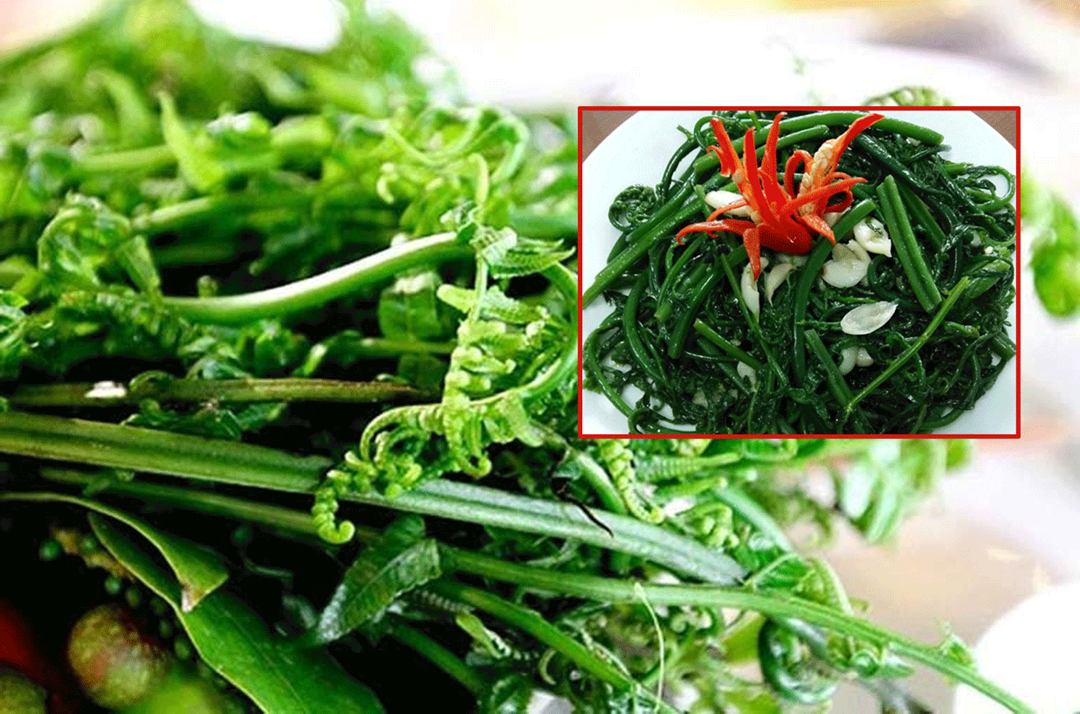 2 loại rau không lo "ngậm" thuốc trừ sâu, số 1 vừa ngon vừa bổ nhưng ít ai hay- Ảnh 2. 2 loại rau không lo "ngậm" thuốc trừ sâu, số 1 vừa ngon vừa bổ nhưng ít ai hay- Ảnh 2.