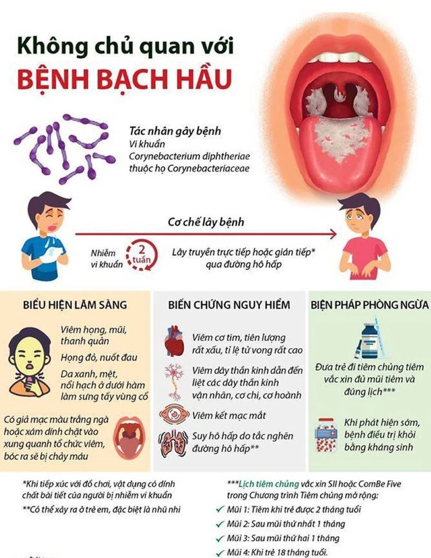 Cô gái 18 tuổi tử vong do bạch hầu: Nghệ An không ghi nhận ca nhiễm mới- Ảnh 4.