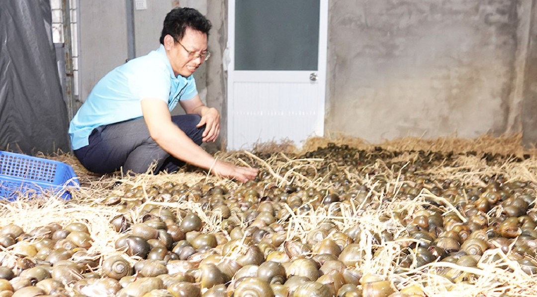 Anh nông dân nhẹ nhàng thu 1 tỷ đồng/năm nhờ nuôi con "hiền lành mắn đẻ"- Ảnh 2.