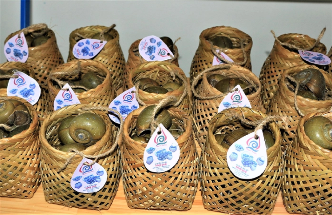 Anh nông dân nhẹ nhàng thu 1 tỷ đồng/năm nhờ nuôi con "hiền lành mắn đẻ"- Ảnh 3.