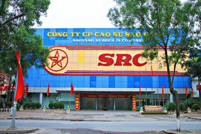 Cao su Sao Vàng lãi kỷ lục, nợ phải trả gấp 1,14 vốn chủ sở hữu- Ảnh 1.