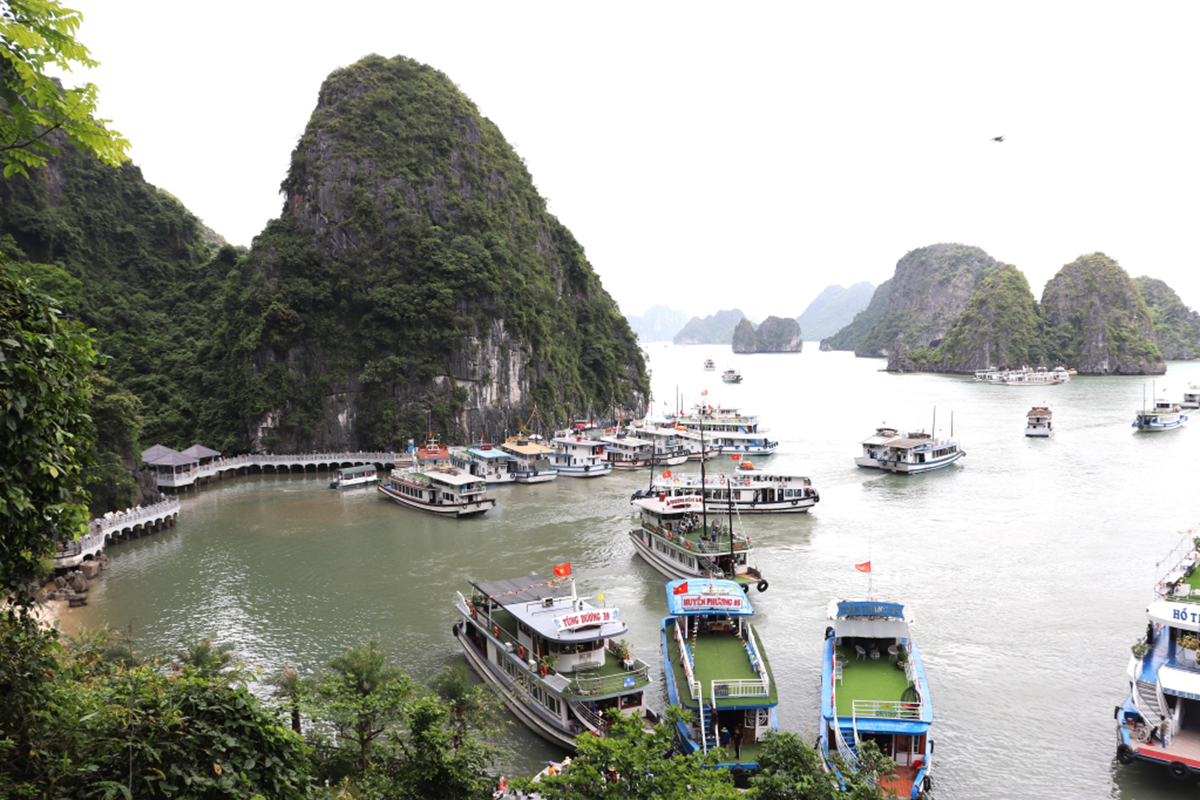 Quảng Ninh: Tạm dừng cấp phép cho các phương tiện thủy ra khơi- Ảnh 1.