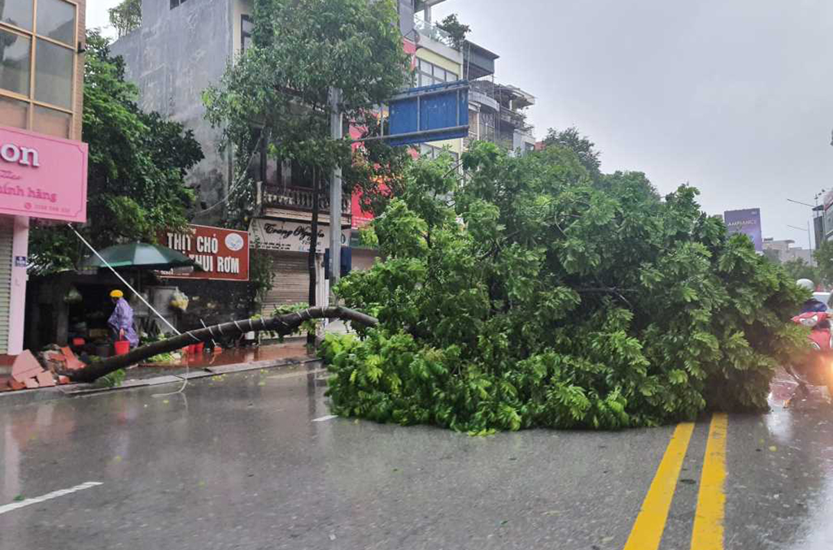 Toàn tỉnh Quảng Ninh mưa lớn do ảnh hưởng của bão số 2- Ảnh 3.