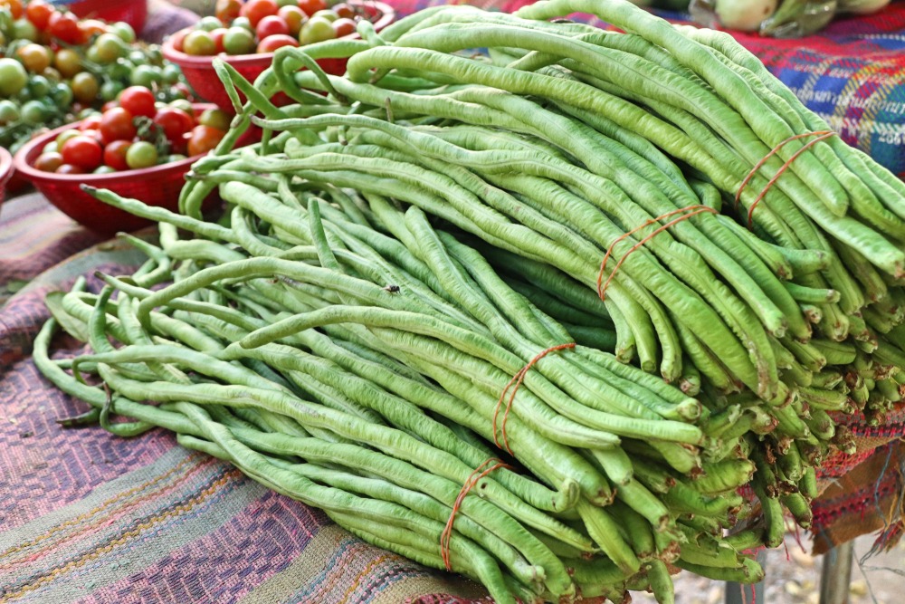 Ăn 1 nắm quả này như "nhân sâm của người nghèo", nhìn qua siêu dài lạ mắt- Ảnh 1. Ăn 1 nắm quả này như "nhân sâm của người nghèo", nhìn qua siêu dài lạ mắt- Ảnh 1.