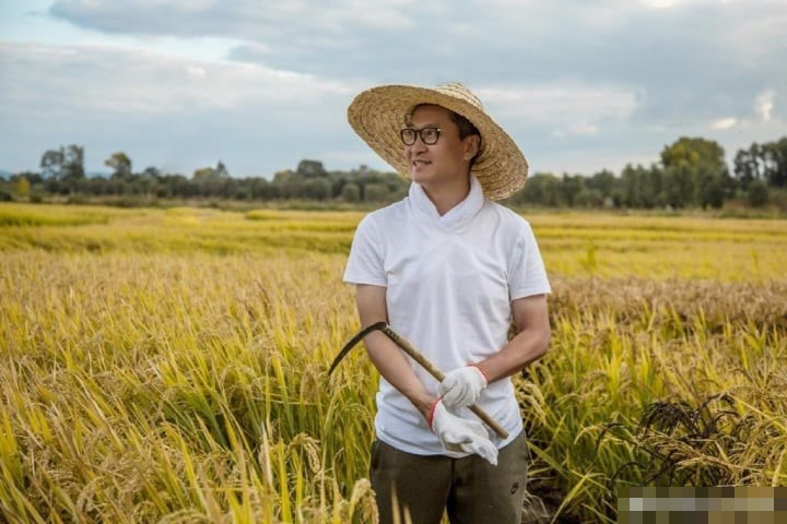 Cuộc sống khác biệt của Nhĩ Khang “Hoàn Châu Cách Cách” khi về quê trồng lúa, sở hữu tài sản trăm tỷ?- Ảnh 5.