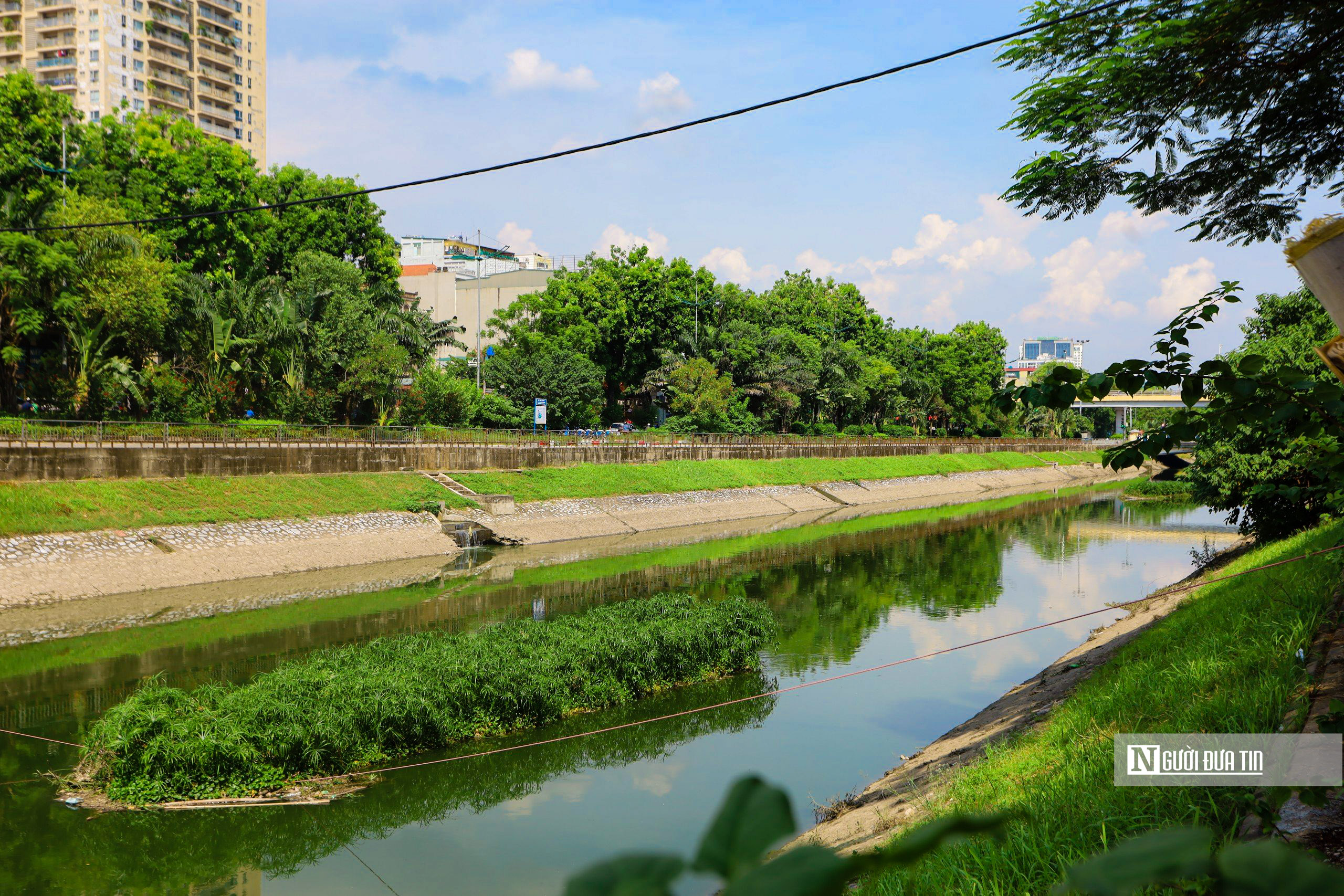 Hà Nội: Sông Tô Lịch bất ngờ chuyển màu xanh - Ảnh 4.