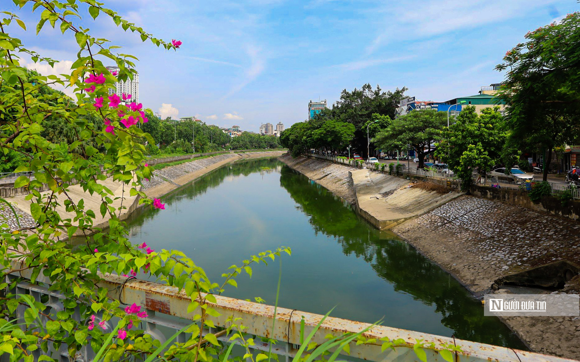 Hà Nội: Sông Tô Lịch bất ngờ chuyển màu xanh - Ảnh 6.