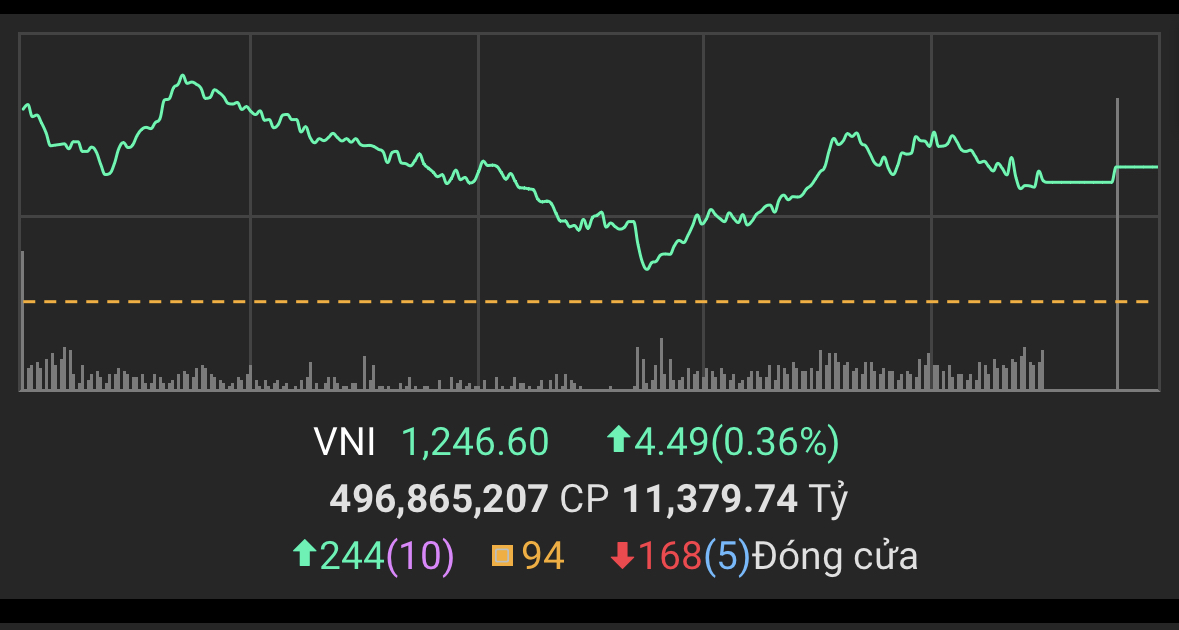 VN-Index tiếp đà hồi phục, cổ phiếu QCG và HVN tím trở lại- Ảnh 1.