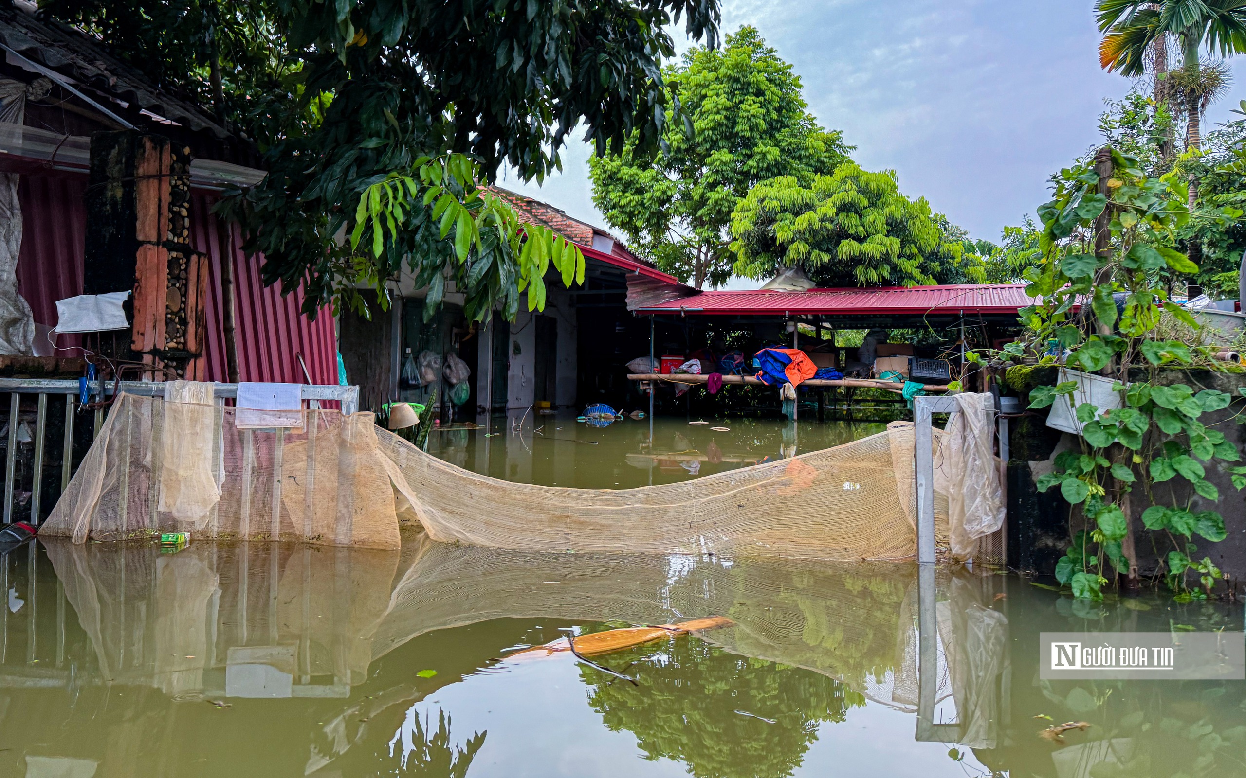 Hà Nội: Nước lũ tiếp tục tràn qua đê khiến người dân chìm trong "biển nước"- Ảnh 14.