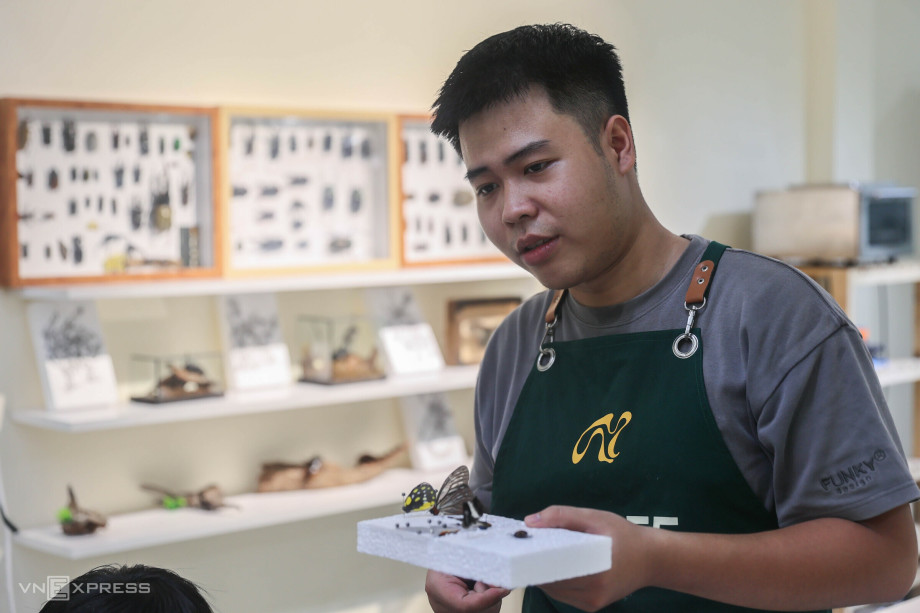 Nam sinh kiếm hàng chục triệu đồng/tháng nhờ thú chơi tiêu bản - Ảnh 2. Nam sinh kiếm hàng chục triệu đồng/tháng nhờ thú chơi tiêu bản - Ảnh 2.