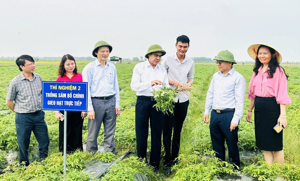 Hồi sinh vùng đất mỏ bạc màu thành "vựa thuốc quý"- Ảnh 5.