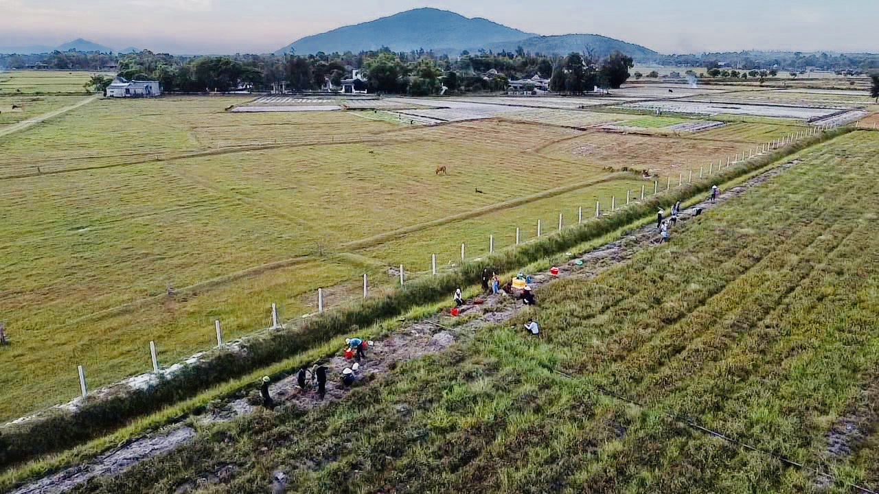 Hồi sinh vùng đất mỏ bạc màu thành "vựa thuốc quý"- Ảnh 1.