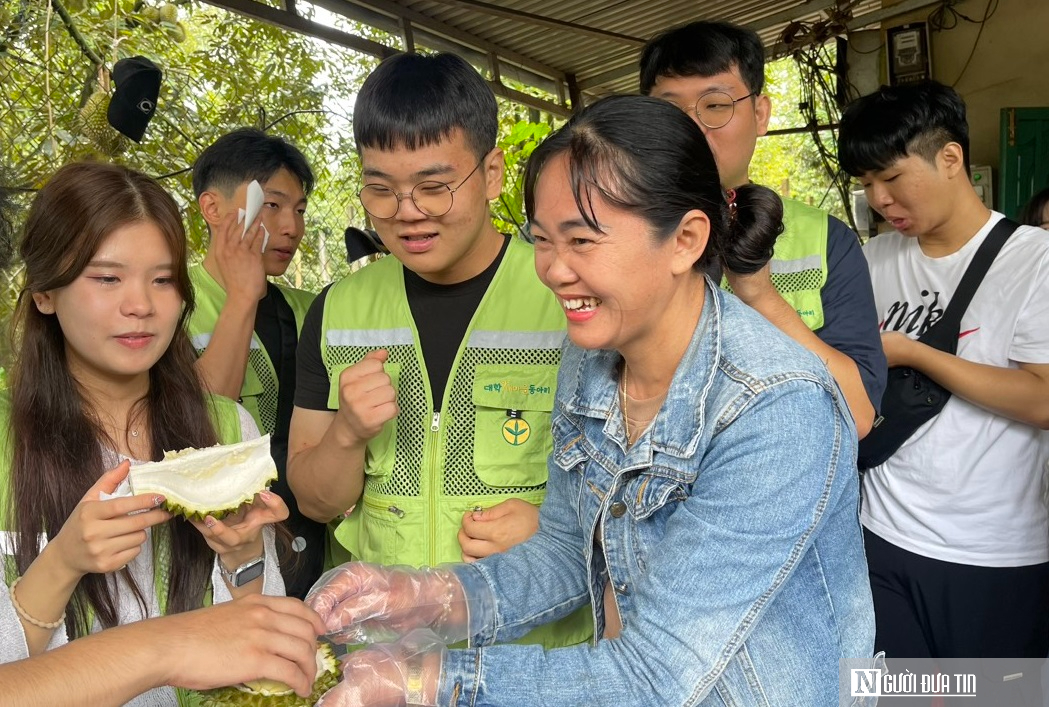 Đắk Lắk: Tìm “nữ hoàng” sầu riêng để tổ chức đấu giá- Ảnh 7.