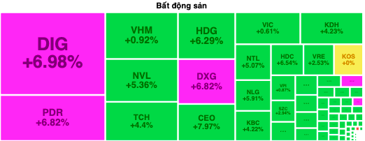 DXG, PDR, DIG chạm trần, cổ phiếu bất động sản bốc đầu tăng- Ảnh 1.