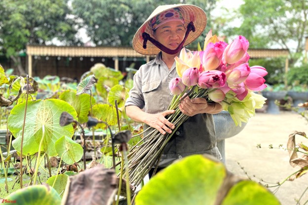 Bỏ phố về quê, trồng một loài hoa trên quê hương Bác, chàng trai kiếm 15 tỷ đồng/năm- Ảnh 6.