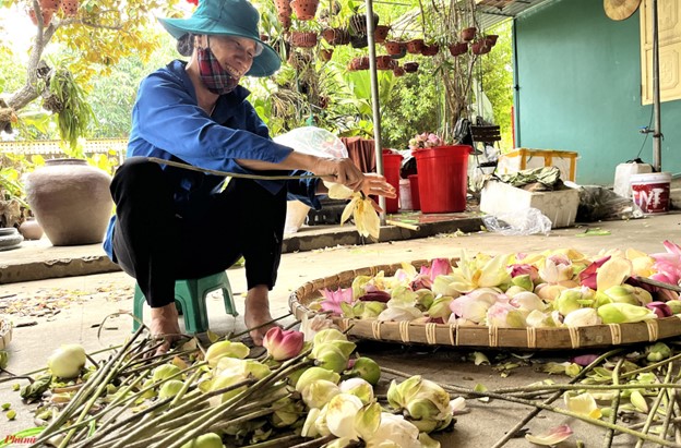 Bỏ phố về quê, trồng một loài hoa trên quê hương Bác, chàng trai kiếm 15 tỷ đồng/năm- Ảnh 11.