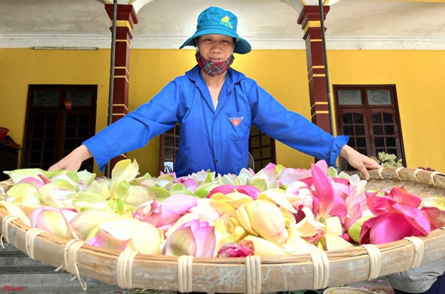 Bỏ phố về quê, trồng một loài hoa trên quê hương Bác, chàng trai kiếm 15 tỷ đồng/năm- Ảnh 8.