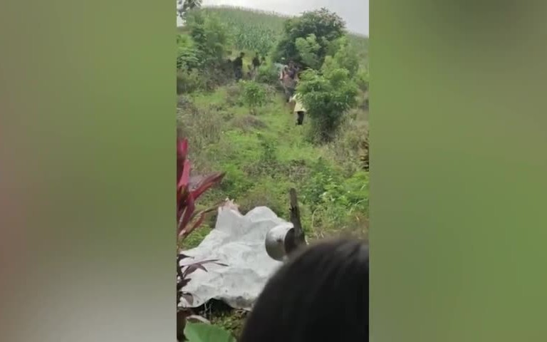 Nh&igrave;n l&ecirc;n c&acirc;y, người đ&agrave;n &ocirc;ng ph&aacute;t hiện cảnh tượng "nổi da g&agrave;" - Ảnh 2.