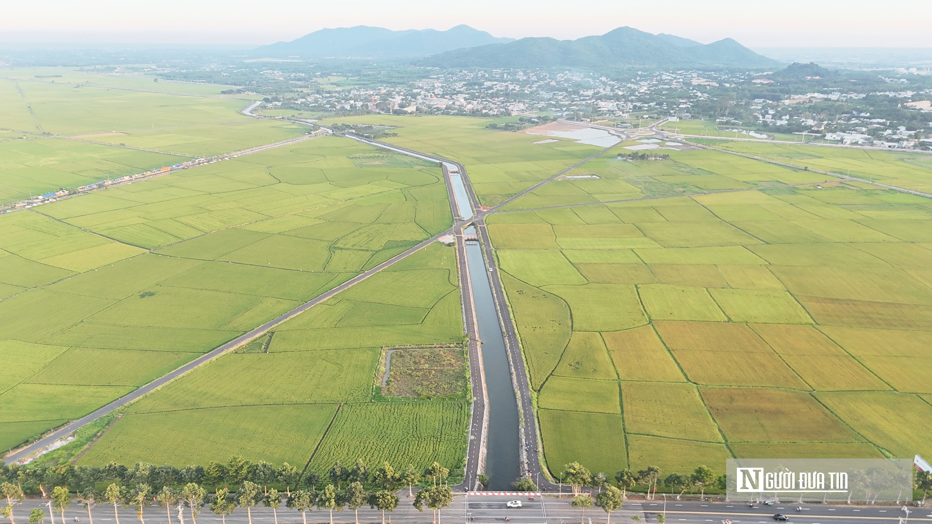 Ngắm những con đường nhựa băng qua cánh đồng lúa đẹp “mê hồn”- Ảnh 1.