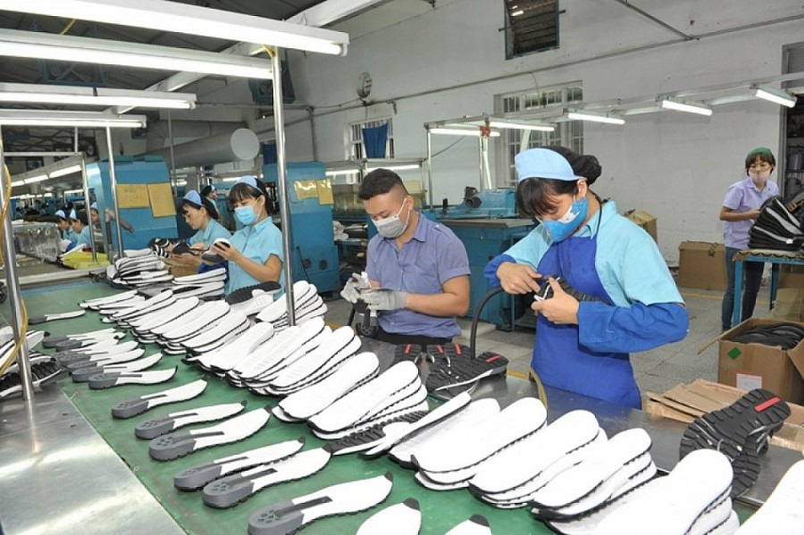 Kỳ vọng Hoa Kỳ tiếp tục là thị trường xuất khẩu lớn nhất đạt mốc trên 100 tỷ USD- Ảnh 1.